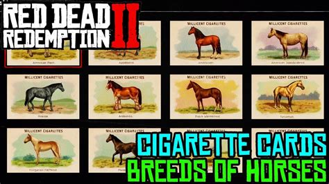 horses cards rdr2|horses cigarette cards rdr2.
